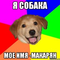 Я СОБАКА МОЕ ИМЯ -МАКАРЯН