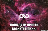  Лошади ну просто восхитительны