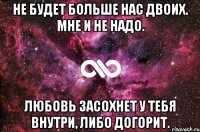 не будет больше нас двоих. мне и не надо. любовь засохнет у тебя внутри, либо догорит.