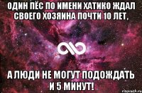 Один пёс по имени Хатико ждал своего хозяина почти 10 лет, а люди не могут подождать и 5 минут!