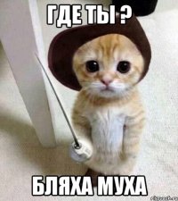 где ты ? бляха муха