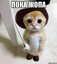 пока жопа 