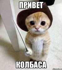 привет колбаса