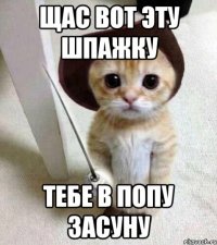 щас вот эту шпажку тебе в попу засуну