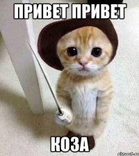 привет привет коза