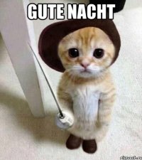 gute nacht 