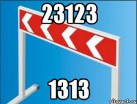 23123 1313