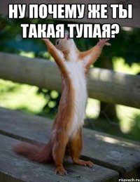 Ну почему же ты такая тупая? 