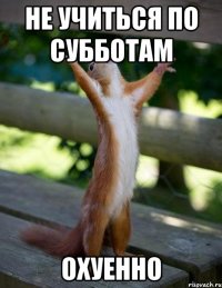 Не учиться по субботам Охуенно