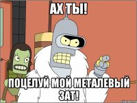 ах ты! поцелуй мой металевый зат!