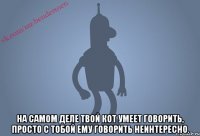  На самом деле твой кот умеет говорить, просто с тобой ему говорить неинтересно.