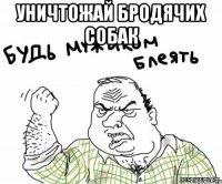 уничтожай бродячих собак 