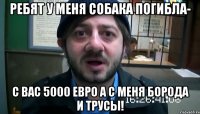 ребят у меня собака погибла- с вас 5000 евро а с меня борода и трусы!