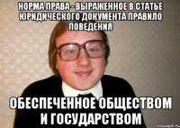 Норма права - выраженное в статье юридического документа правило поведения обеспеченное обществом и государством