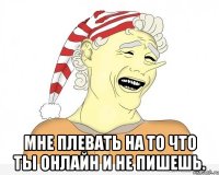  Мне плевать на то что ты онлайн и не пишешь.