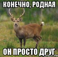 Конечно, родная Он просто друг