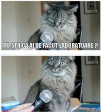 tu stii ca ai de facut laboratoare ?