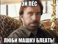ЭЙ ПЁС ЛЮБИ МАШКУ БЛЕАТЬ!