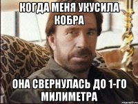 Когда меня укусила кобра Она свернулась до 1-го милиметра