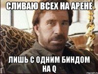 Сливаю всех на арене лишь с одним биндом на Q