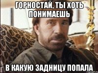 Горностай, ты хоть понимаешь в какую задницу попала