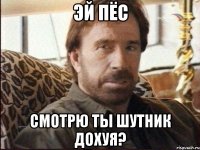 Эй ПЁС Смотрю ты шутник дохуя?