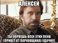 Алексей ты порвёшь всех этих псов (привет от Парковщика) Удачи!!!
