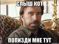 Слыш кот попизди мне тут