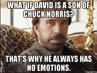 What if David is a son of Chuck Norris? That's why he always has no emotions.