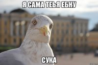 Я сама теья ебну Сука