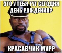 это у тебя тут сегодня день рождения? красавчик мурр