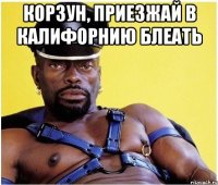 Корзун, приезжай в Калифорнию блеать 