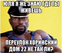 Юля я же знаю где ты живешь переулок Хоринский дом 22 не так ли?