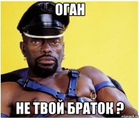 Оган Не твой браток ?