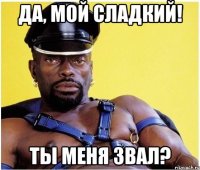 ДА, МОЙ СЛАДКИЙ! Ты меня звал?