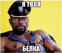 я твоя белка