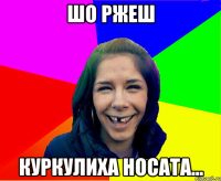 Шо ржеш Куркулиха носата...