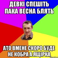 девкi спешiть пака весна блять ато вмене скоро буде не кобра а ящiрка