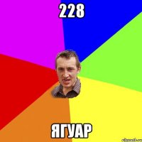 228 ягуар