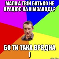 мала а твій батько не працює на хімзаводі ? бо ти така врєдна !