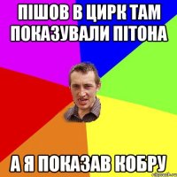 пішов в цирк там показували пітона а я показав кобру