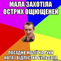 мала захотіла острих ощющеней посадив малії на руки кота і відпустив бульдога