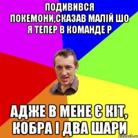 Подивився Покемони,сказав малій шо я тепер в команде Р адже в мене є кіт, кобра і два шари