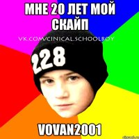 Мне 20 лет мой скайп vovan2001