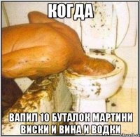 когда вапил 10 буталок мартини виски и вина и водки