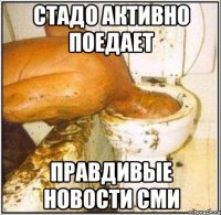 Стадо активно поедает правдивые новости сми