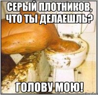 СЕРЫЙ ПЛОТНИКОВ, ЧТО ТЫ ДЕЛАЕШЛЬ? ГОЛОВУ МОЮ!