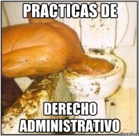 Practicas de Derecho Administrativo