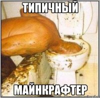 Типичный Майнкрафтер