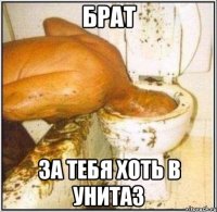 брат за тебя хоть в унитаз